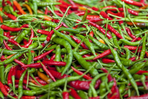 7月长沙食用农产品监测专报解读 守护餐桌安全，关注日常消费